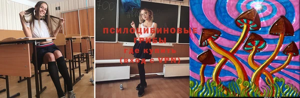 мескалин Абаза