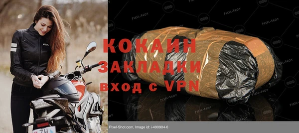 шишки Алексин