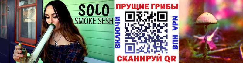 Псилоцибиновые грибы Cubensis  МЕГА онион  Барыш 